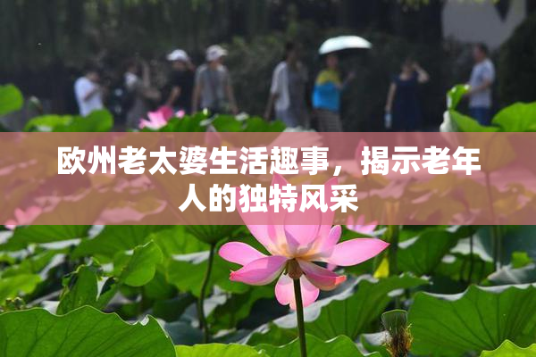 欧州老太婆生活趣事，揭示老年人的独特风采