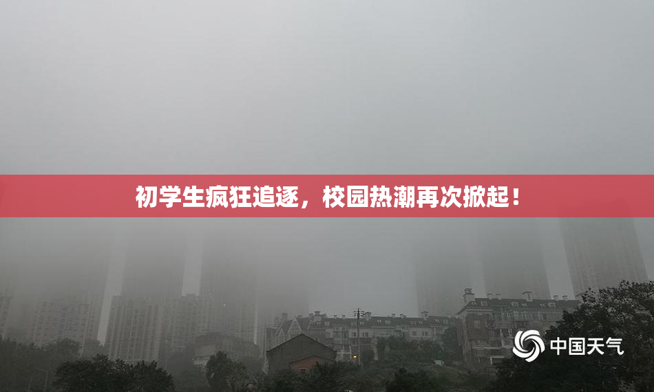 初学生疯狂追逐，校园热潮再次掀起！