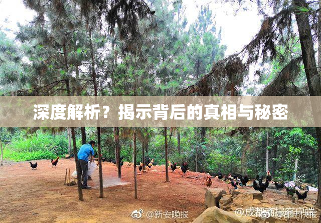 深度解析？揭示背后的真相与秘密