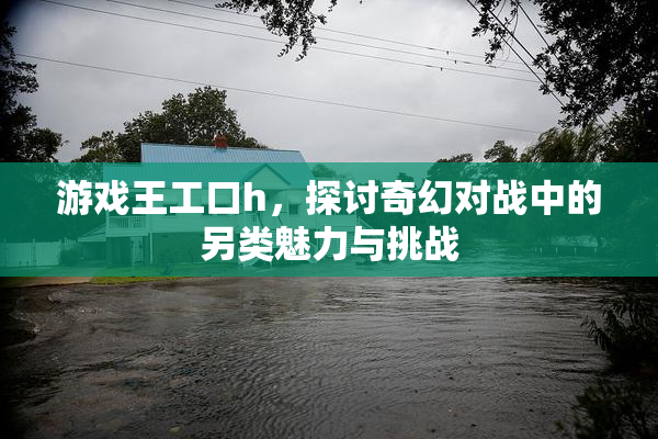 游戏王工口h，探讨奇幻对战中的另类魅力与挑战