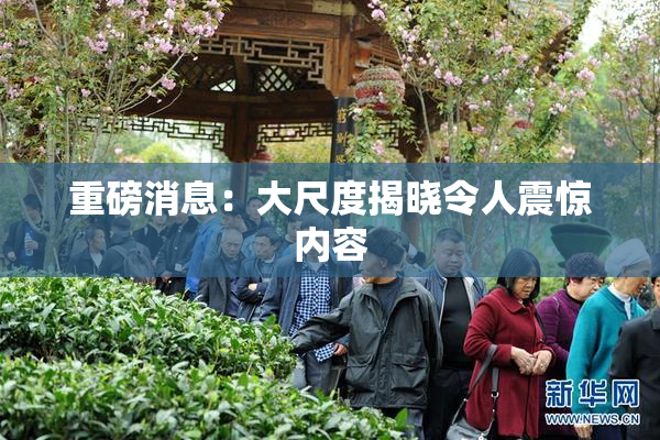 重磅消息：大尺度揭晓令人震惊内容