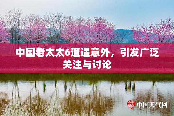 中国老太太6遭遇意外，引发广泛关注与讨论