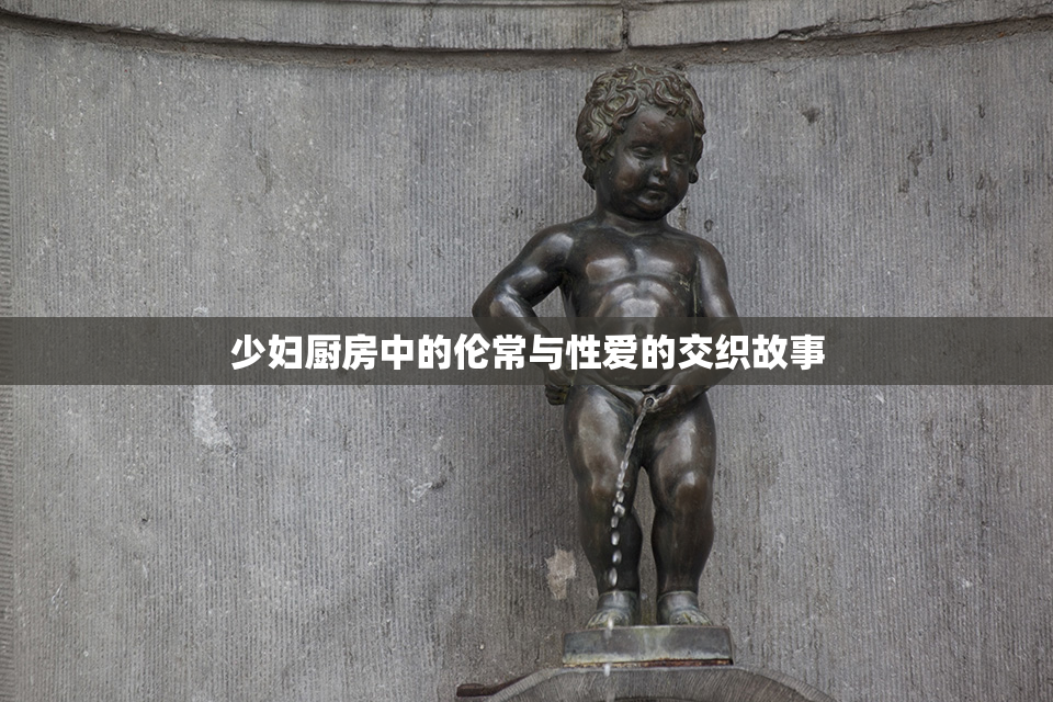 少妇厨房中的伦常与性爱的交织故事