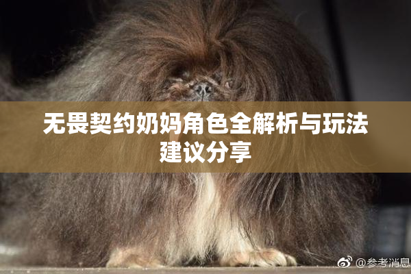 无畏契约奶妈角色全解析与玩法建议分享