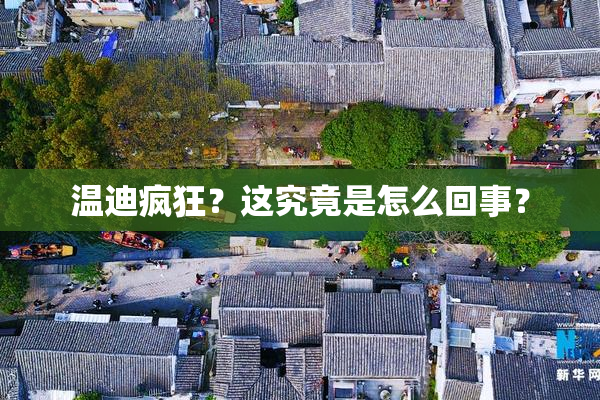 温迪疯狂？这究竟是怎么回事？