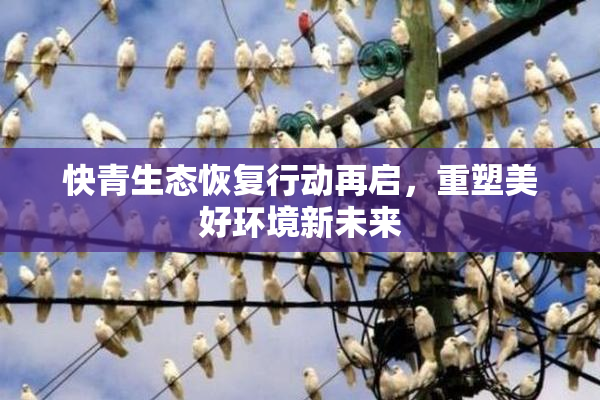 快青生态恢复行动再启，重塑美好环境新未来