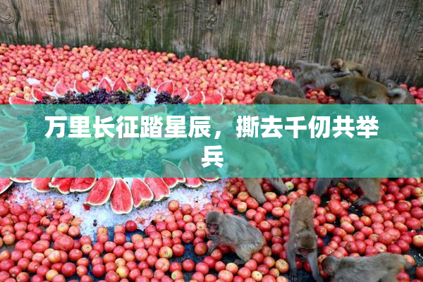 万里长征踏星辰，撕去千仞共举兵