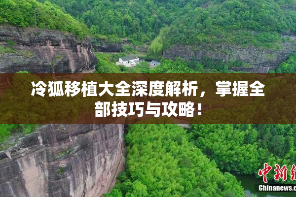 冷狐移植大全深度解析，掌握全部技巧与攻略！