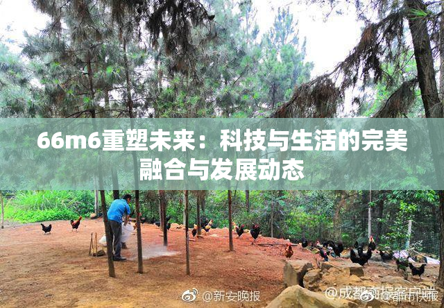 66m6重塑未来：科技与生活的完美融合与发展动态