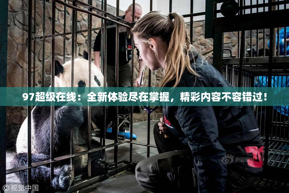 97超级在线：全新体验尽在掌握，精彩内容不容错过！