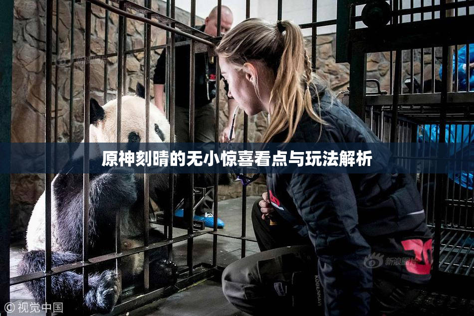 原神刻晴的无小惊喜看点与玩法解析