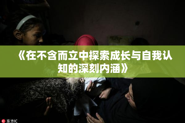《在不含而立中探索成长与自我认知的深刻内涵》