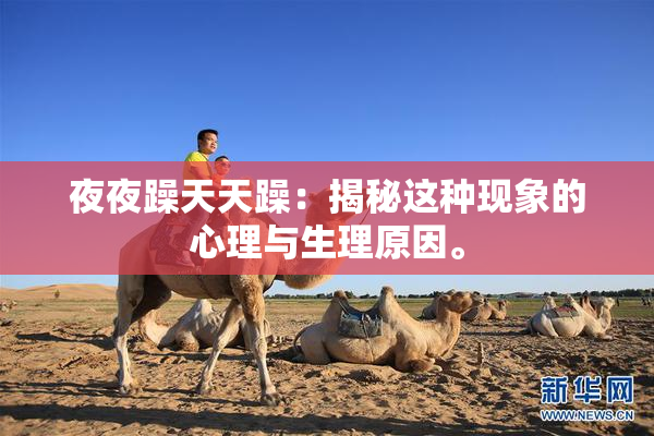 夜夜躁天天躁：揭秘这种现象的心理与生理原因。