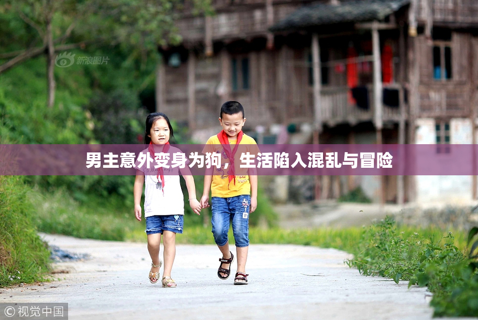 男主意外变身为狗，生活陷入混乱与冒险