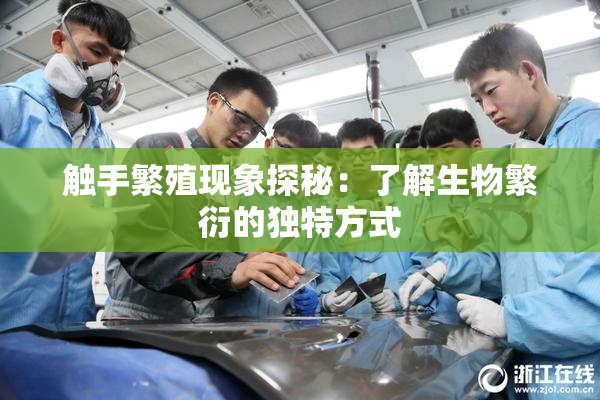 触手繁殖现象探秘：了解生物繁衍的独特方式