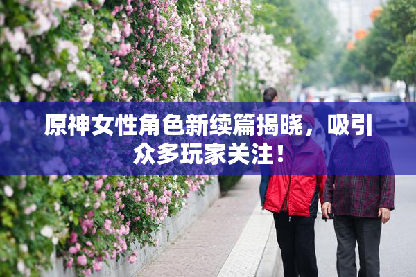 原神女性角色新续篇揭晓，吸引众多玩家关注！