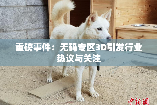 重磅事件：无码专区3D引发行业热议与关注