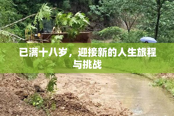 已满十八岁，迎接新的人生旅程与挑战