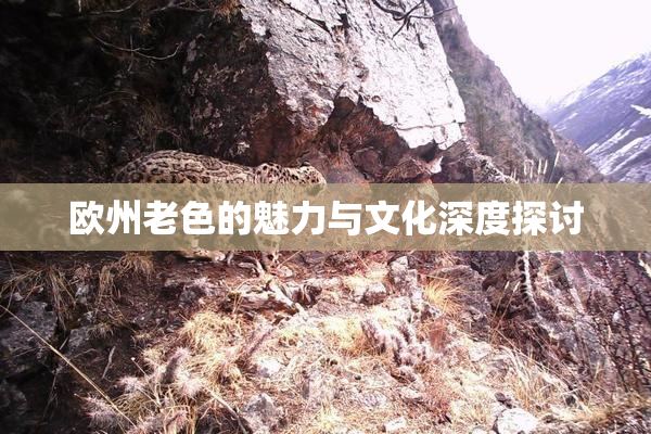 欧州老色的魅力与文化深度探讨