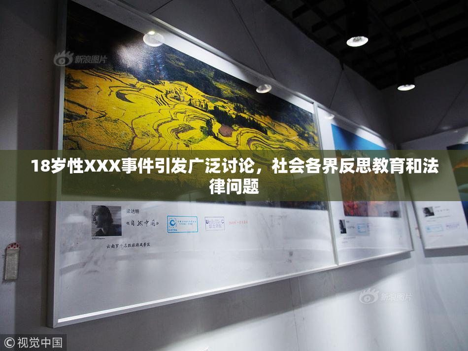 18岁性XXX事件引发广泛讨论，社会各界反思教育和法律问题
