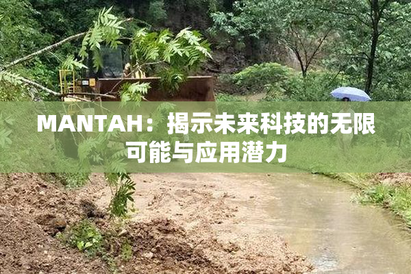 MANTAH：揭示未来科技的无限可能与应用潜力