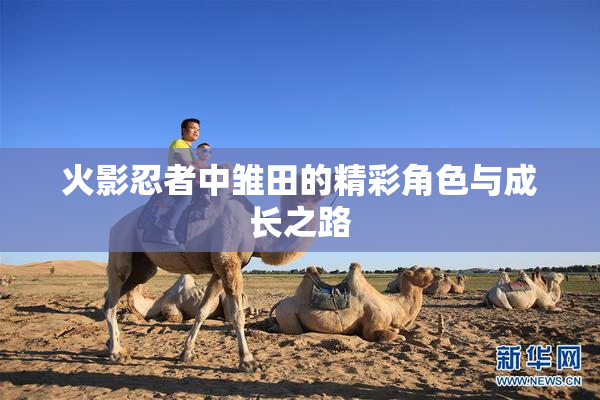火影忍者中雏田的精彩角色与成长之路