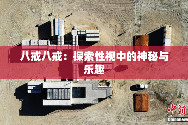八戒八戒：探索性视中的神秘与乐趣