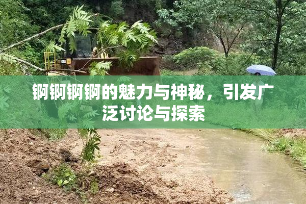 锕锕锕锕的魅力与神秘，引发广泛讨论与探索