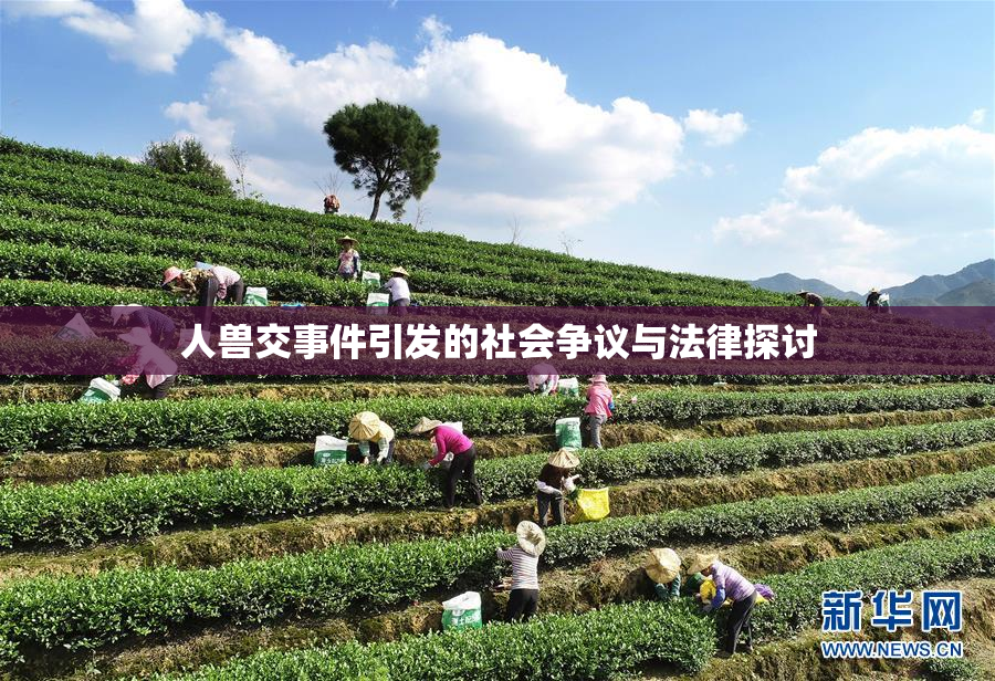 人兽交事件引发的社会争议与法律探讨