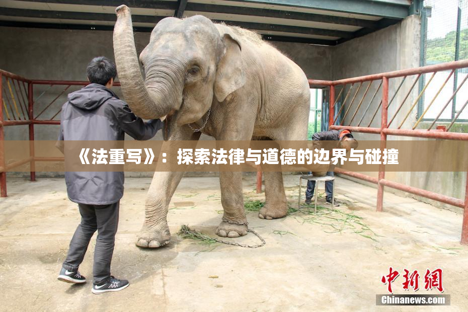 《法重写》：探索法律与道德的边界与碰撞