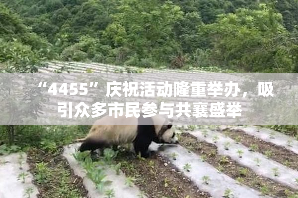 “4455”庆祝活动隆重举办，吸引众多市民参与共襄盛举