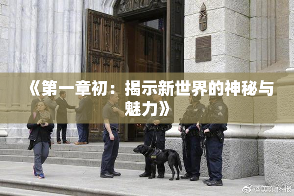 《第一章初：揭示新世界的神秘与魅力》