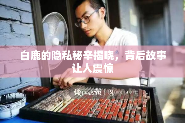 白鹿的隐私秘辛揭晓，背后故事让人震惊