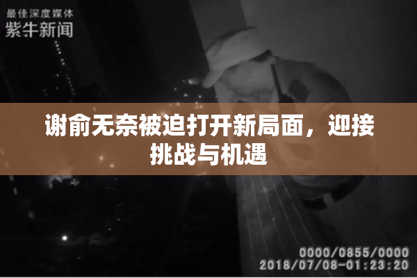 谢俞无奈被迫打开新局面，迎接挑战与机遇