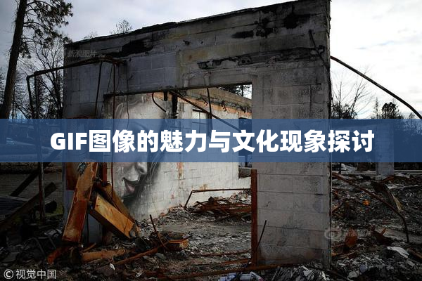 GIF图像的魅力与文化现象探讨