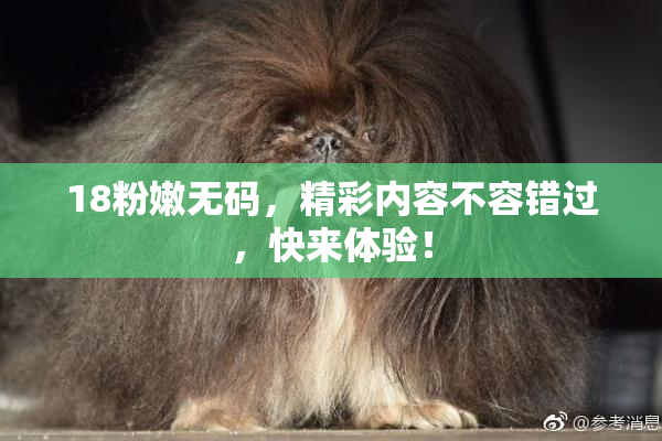18粉嫩无码，精彩内容不容错过，快来体验！