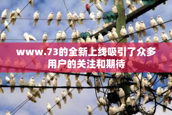 www.73的全新上线吸引了众多用户的关注和期待