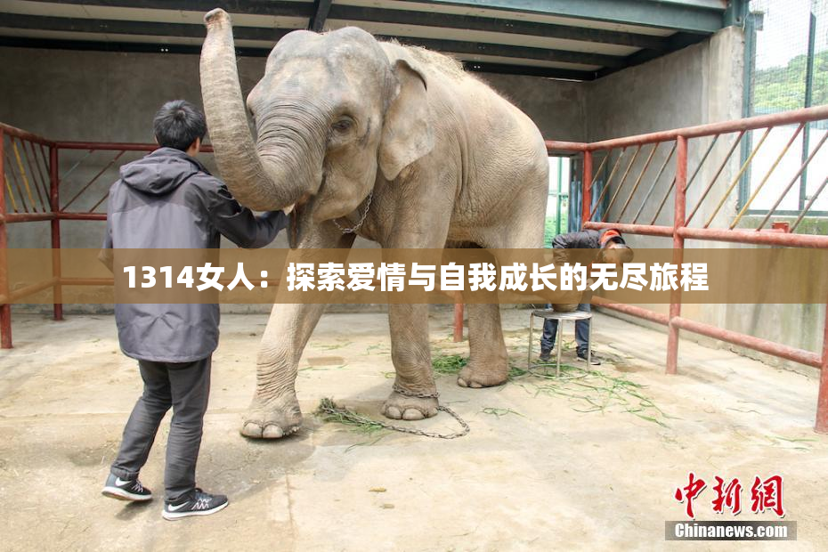 1314女人：探索爱情与自我成长的无尽旅程