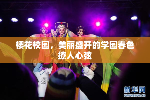 樱花校园，美丽盛开的学园春色撩人心弦