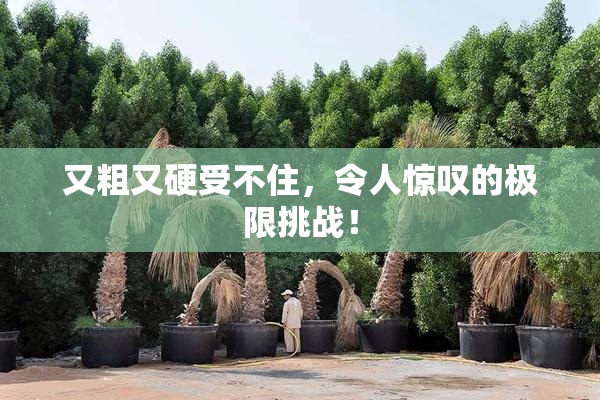 又粗又硬受不住，令人惊叹的极限挑战！