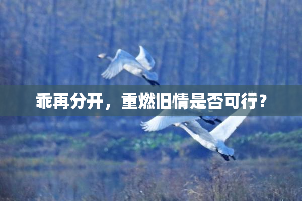 乖再分开，重燃旧情是否可行？