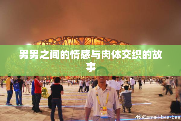 男男之间的情感与肉体交织的故事