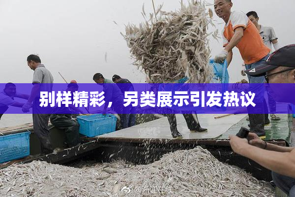 别样精彩，另类展示引发热议