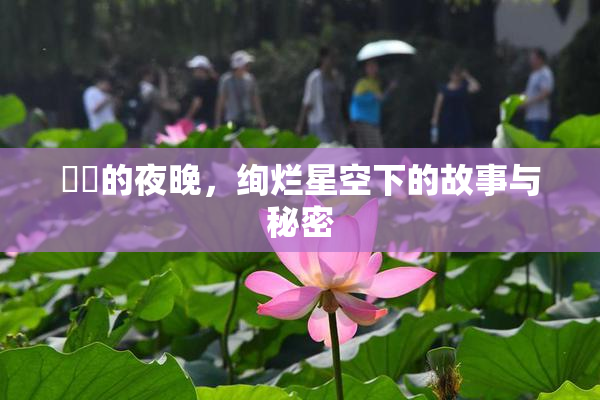 妺妺的夜晚，绚烂星空下的故事与秘密