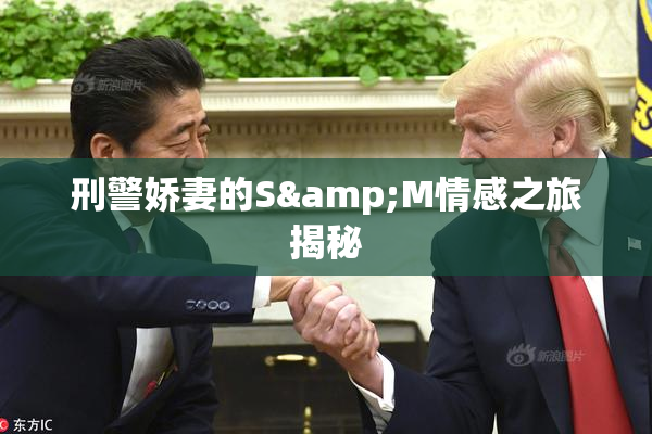 刑警娇妻的S&M情感之旅揭秘