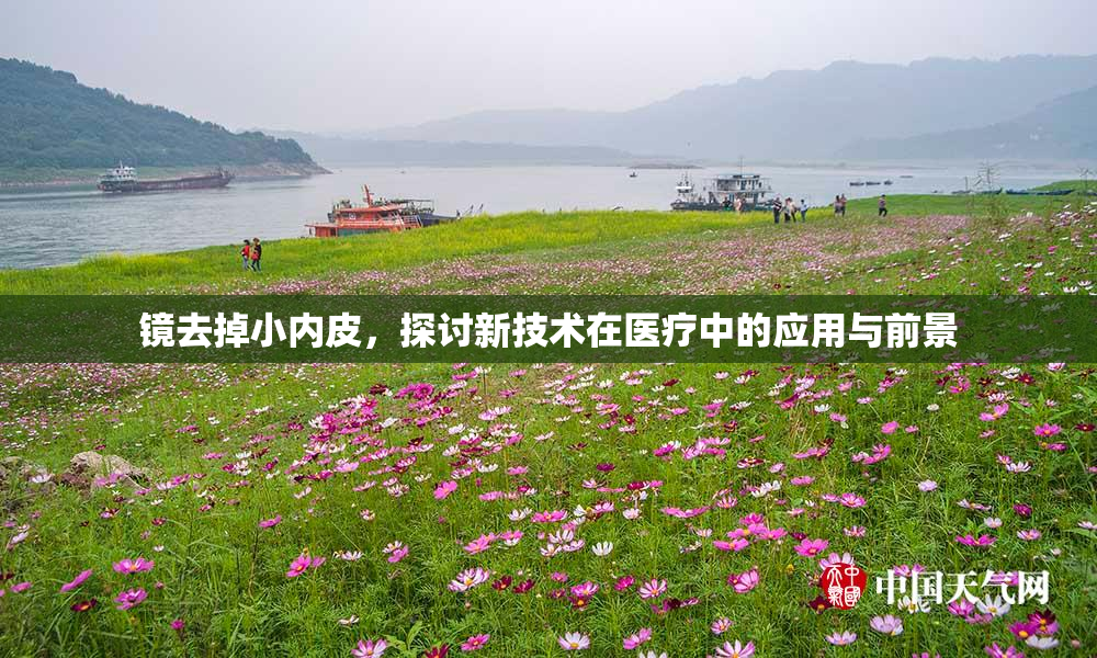 镜去掉小内皮，探讨新技术在医疗中的应用与前景