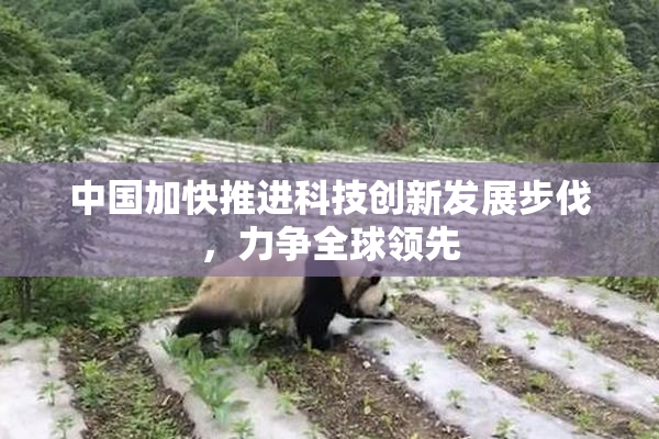 中国加快推进科技创新发展步伐，力争全球领先