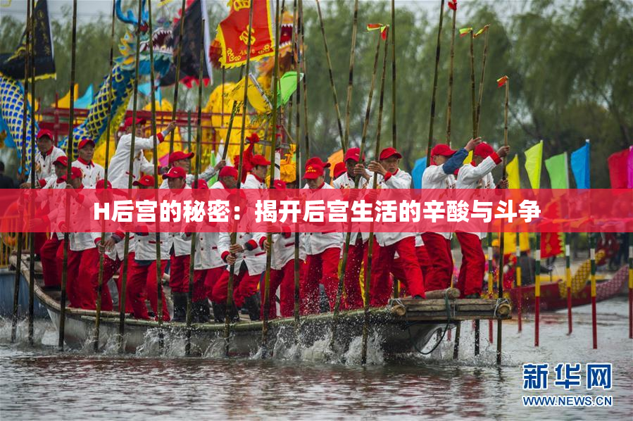 H后宫的秘密：揭开后宫生活的辛酸与斗争