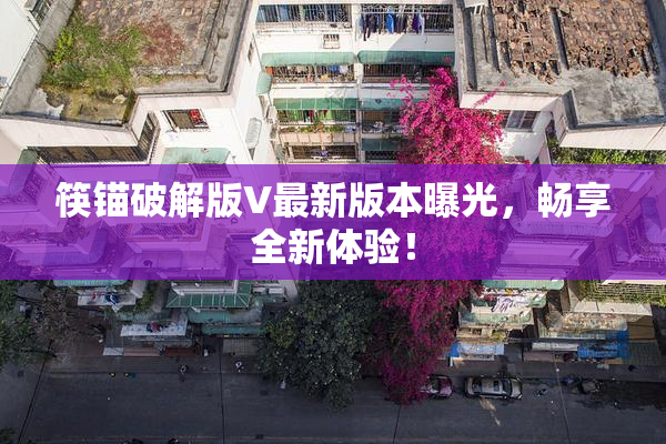 筷锚破解版V最新版本曝光，畅享全新体验！