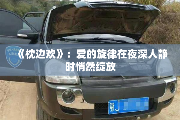 《枕边欢》：爱的旋律在夜深人静时悄然绽放